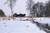 17.03.2006 - Vier dunkle Pferde im Schnee