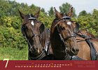 Kalender 2013 07