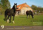 Kalender 2013 09