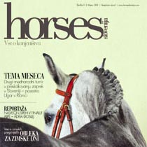 horses slovenija